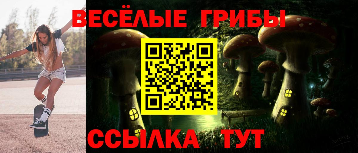 Галлюциногенные грибы Cubensis Ногинск