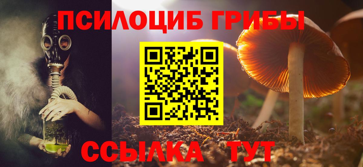 Псилоцибиновые грибы Magic Shrooms  Вход с VPN  Ногинск 